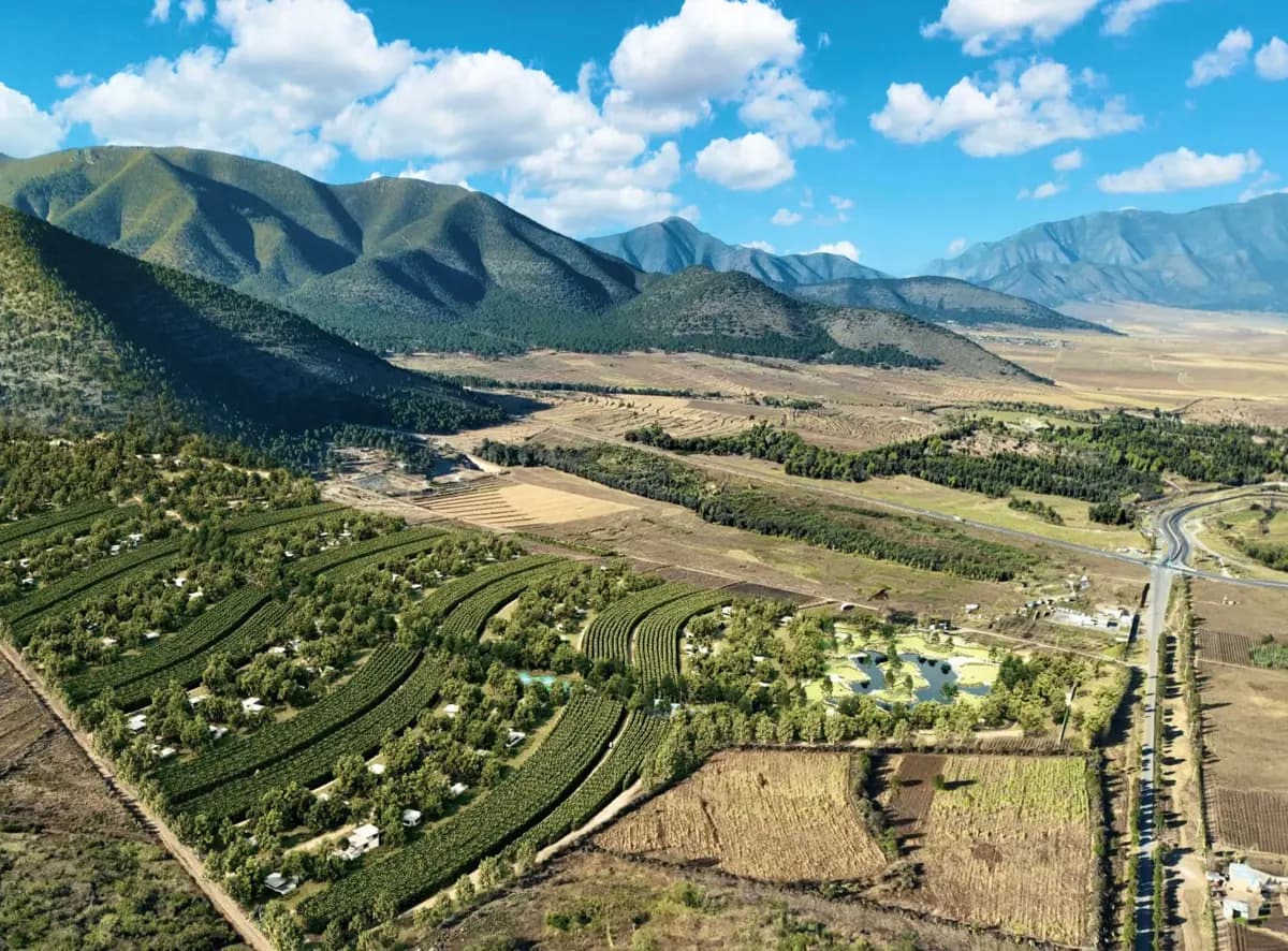 Terreno en Venta en Huachichil (El Huache), Arteaga, Coahuila de Zaragoza
